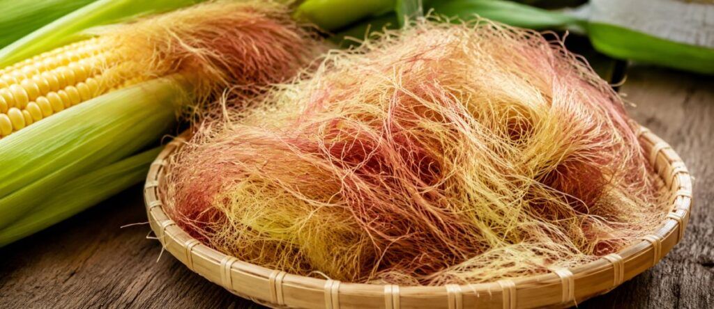 Cabelo de Milho (Estigmas de Zea mays)