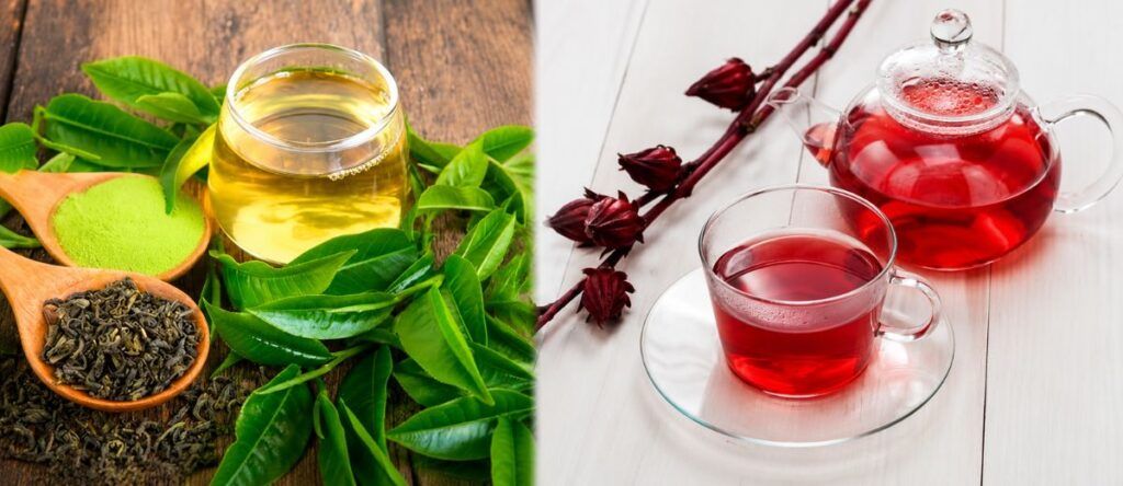 Chá Verde e Chá de Hibisco: Plantas Utilizadas em Infusões