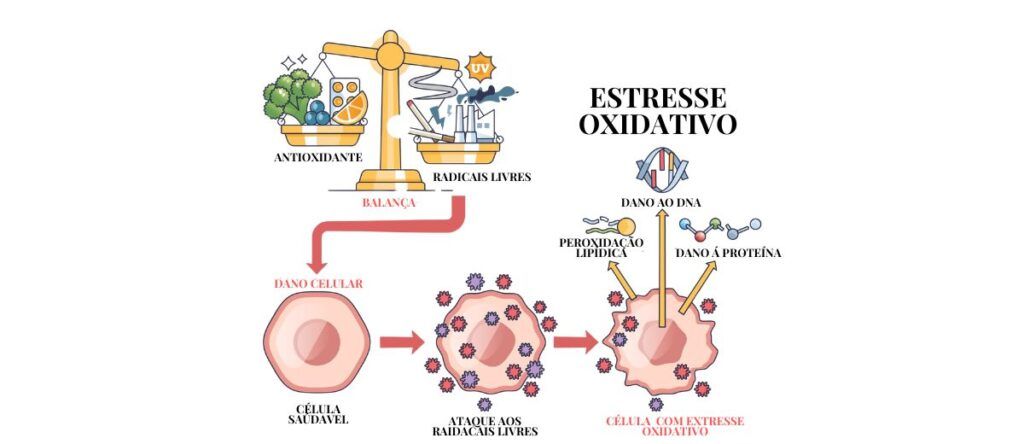 Microbiota Intestinal: Alimentação, Fibras Prebióticas e Saúde Digestiva